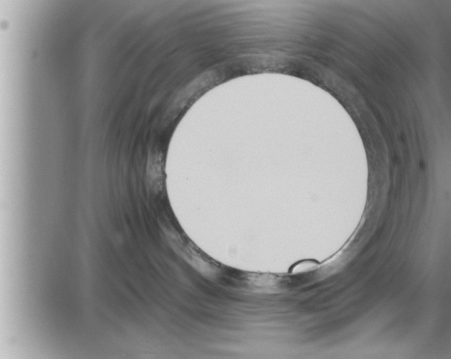 X0000086330144200704271951