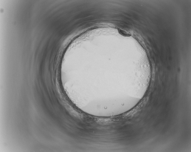 X0000086330145200704271951