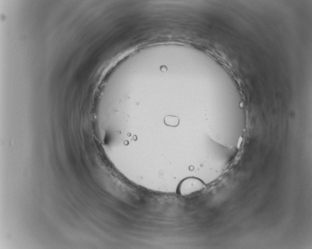 X0000086330146200704271951