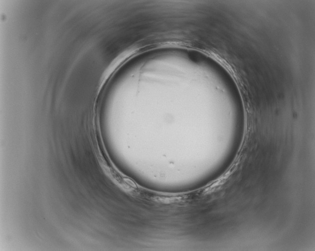 X0000086330147200704271951