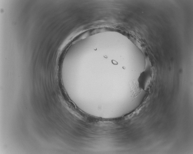 X0000086330150200704271951