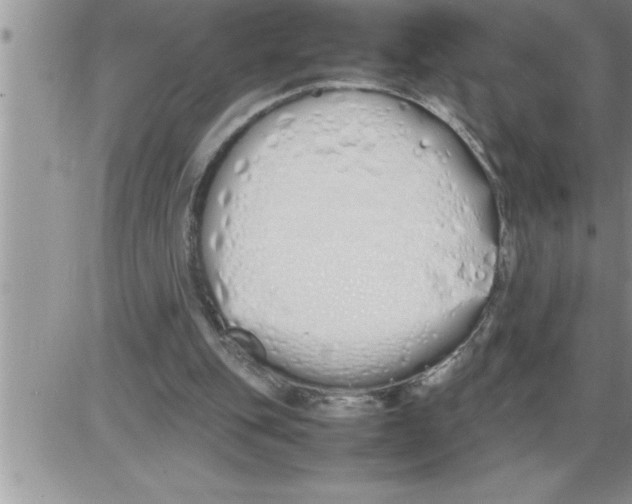 X0000086330151200704271951