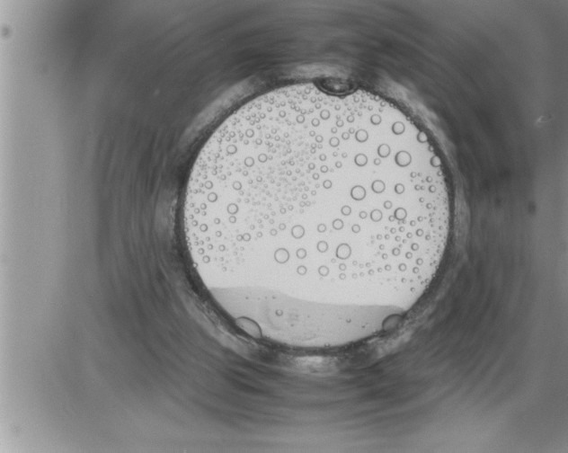 X0000086330153200704271951