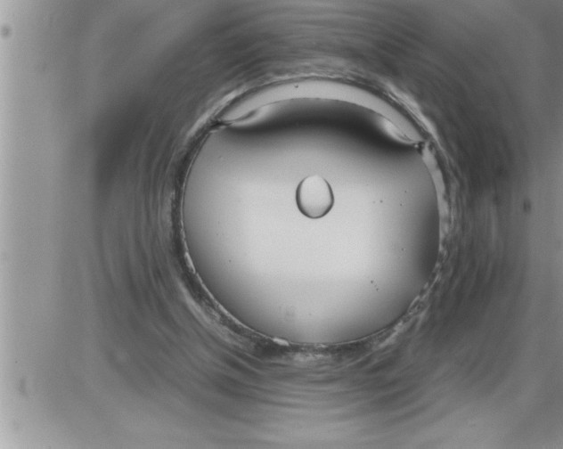 X0000086330154200704271951