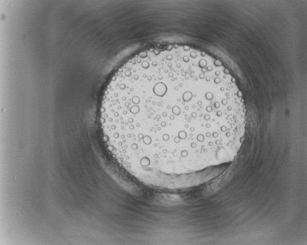 X0000086330159200704271951