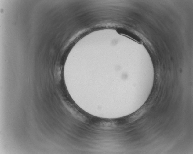 X0000086330160200704271951