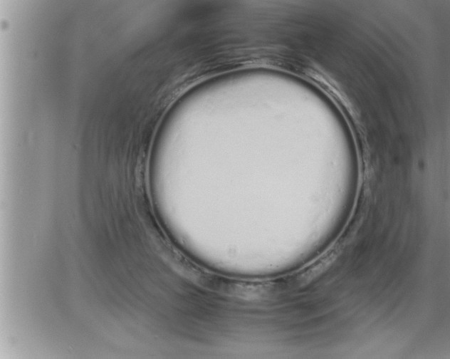 X0000086330161200704271951