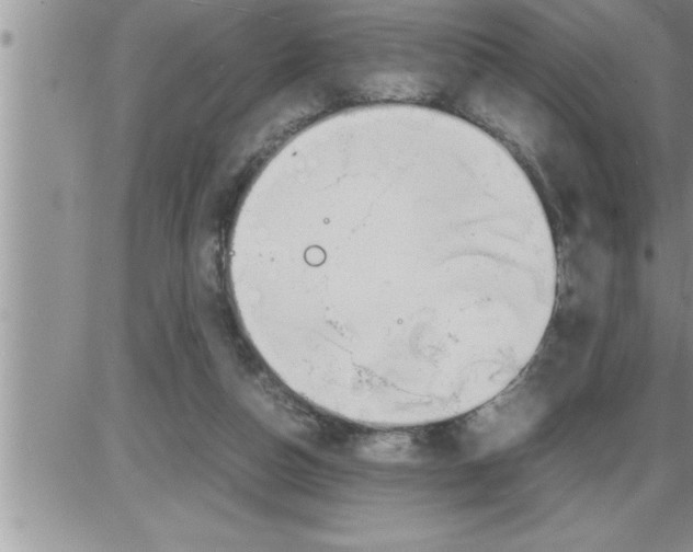 X0000086330162200704271951