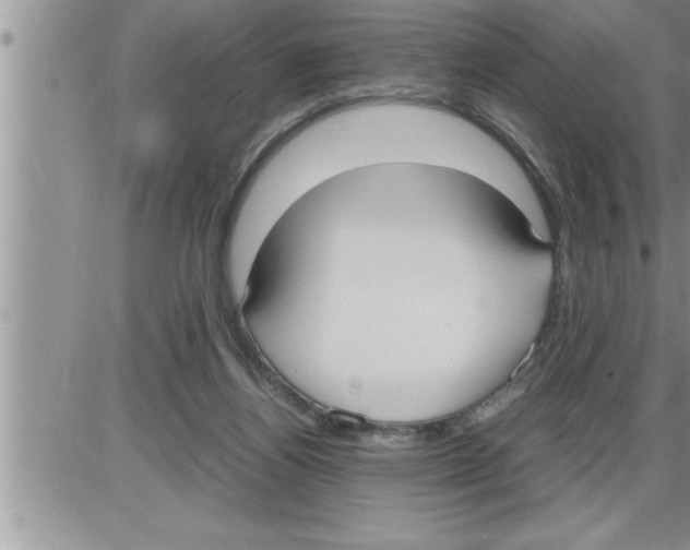 X0000086330164200704271951