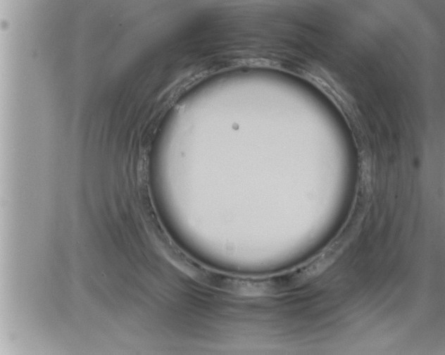 X0000086330165200704271951