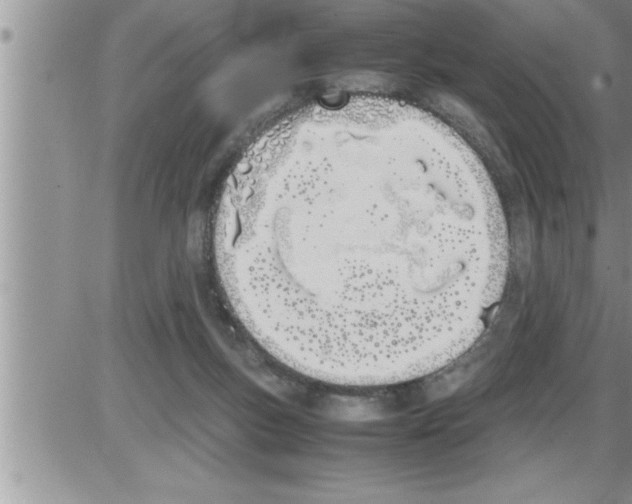 X0000086330167200704271951