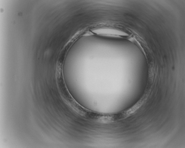 X0000086330168200704271951