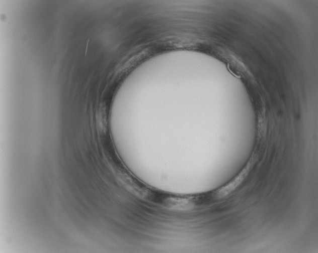 X0000086330170200704271951