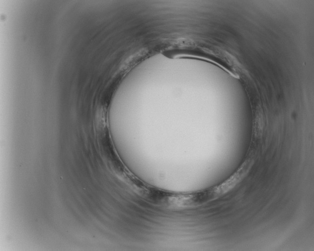 X0000086330172200704271951