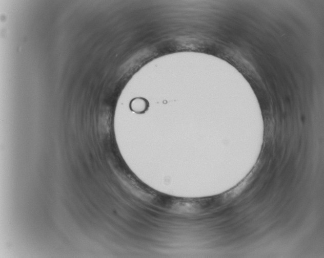 X0000086330174200704271951