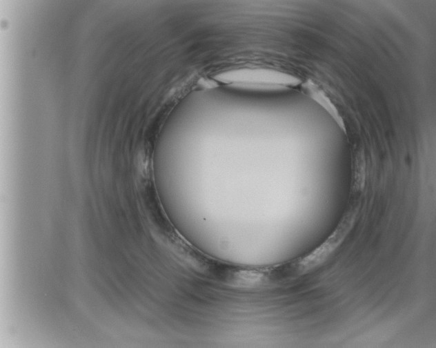 X0000086330176200704271951