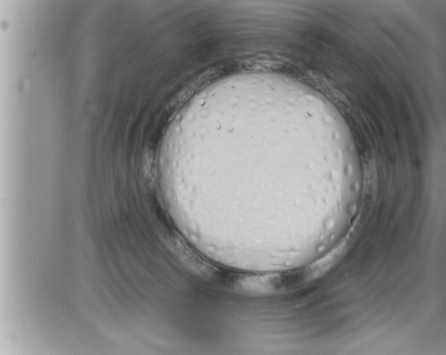 X0000086330178200704271951