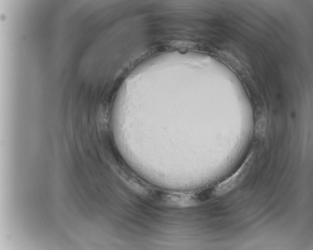 X0000086330179200704271951