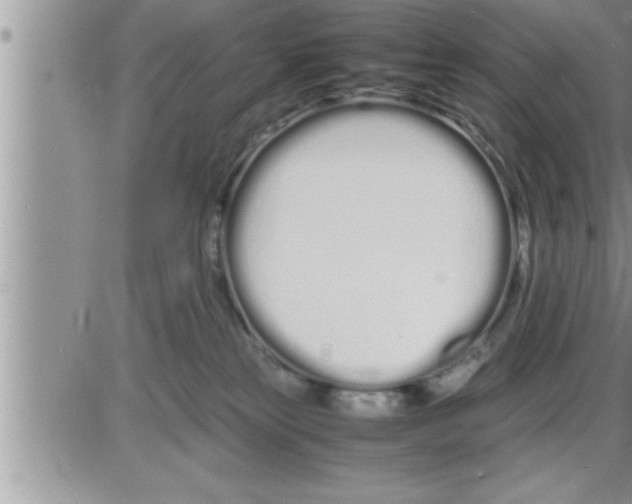 X0000086330181200704271951