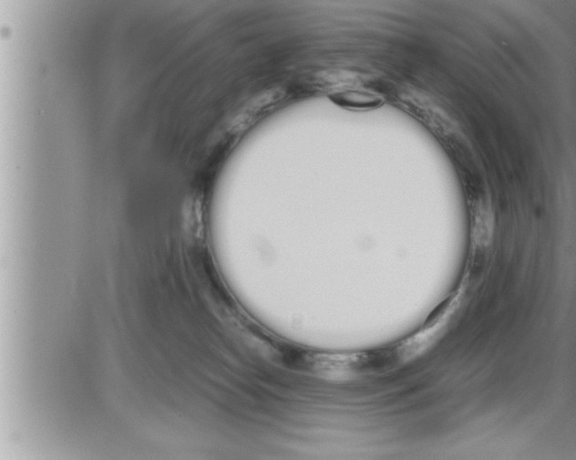 X0000086330182200704271951