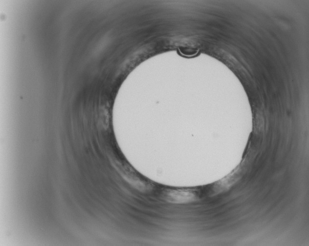 X0000086330183200704271951