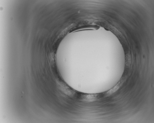 X0000086330184200704271951