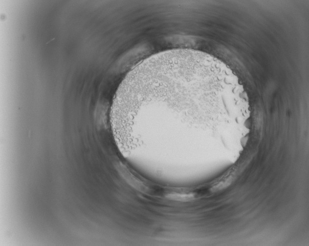 X0000086330185200704271951