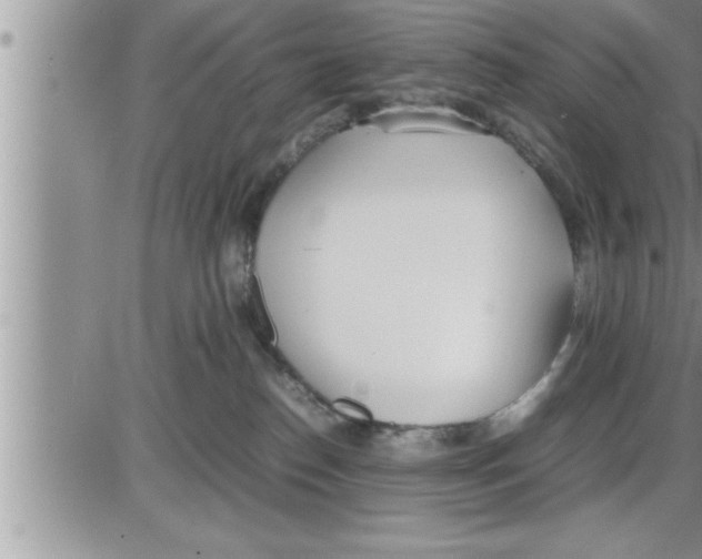 X0000086330186200704271951