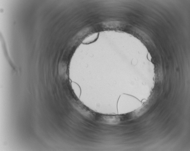 X0000086330187200704271951