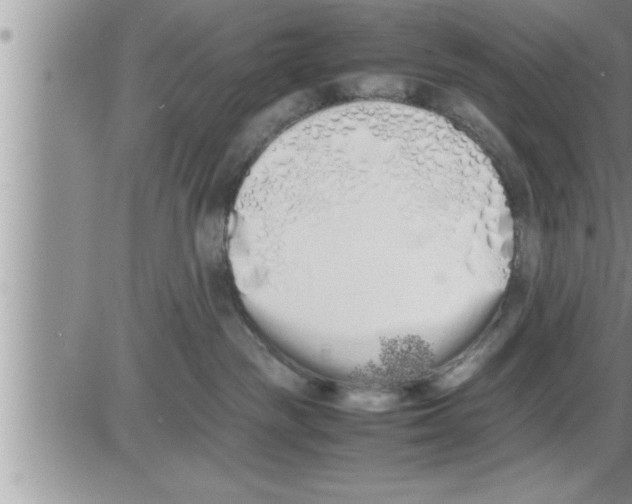 X0000086330189200704271951