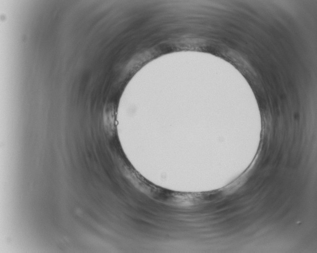 X0000086330190200704271951