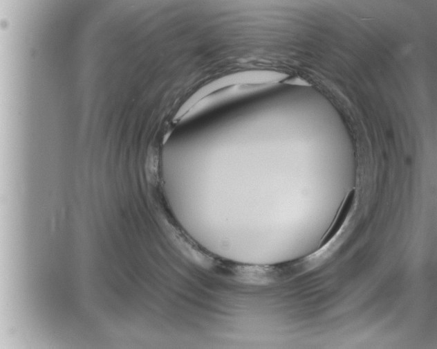 X0000086330192200704271951