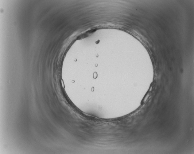 X0000086330193200704271951