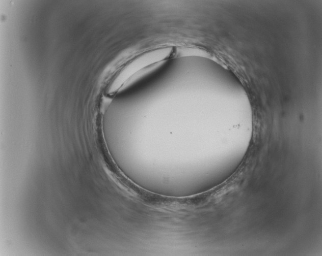 X0000086330197200704271951