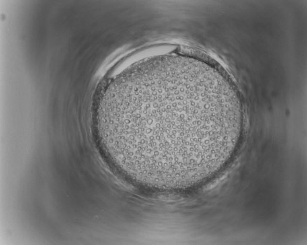 X0000086330199200704271950