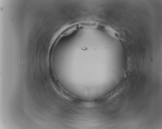 X0000086330200200704271950