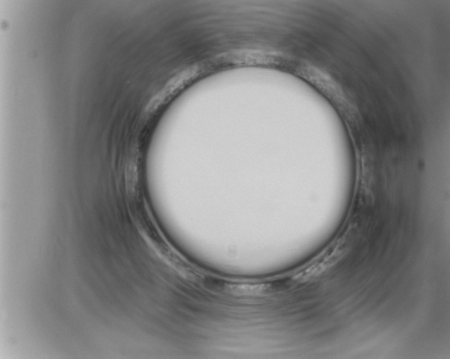 X0000086330202200704271950