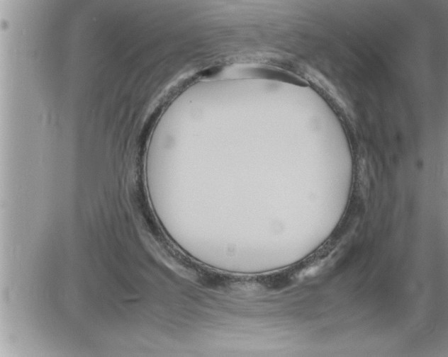 X0000086330203200704271950