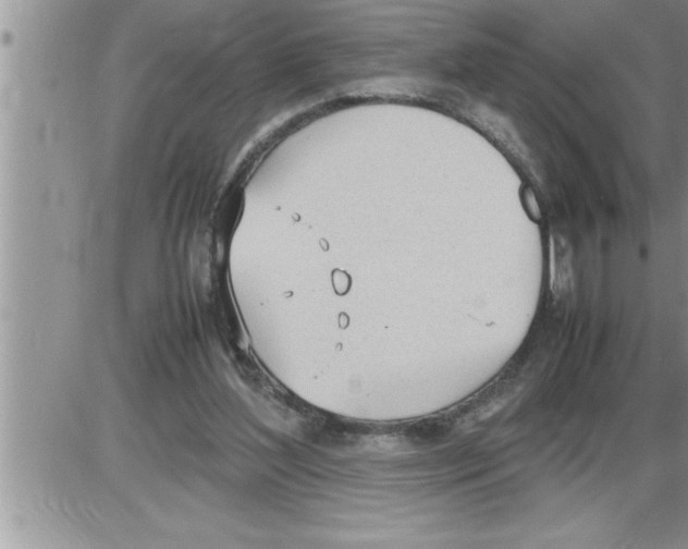 X0000086330204200704271950