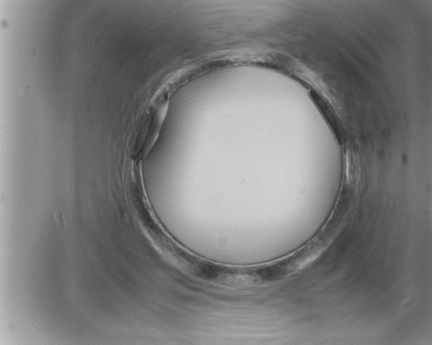 X0000086330205200704271950