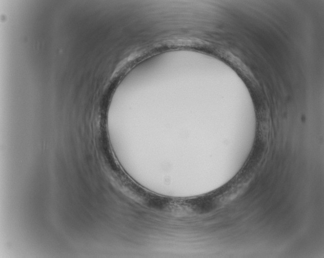 X0000086330207200704271950