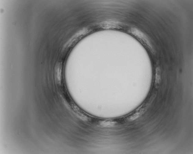 X0000086330210200704271950