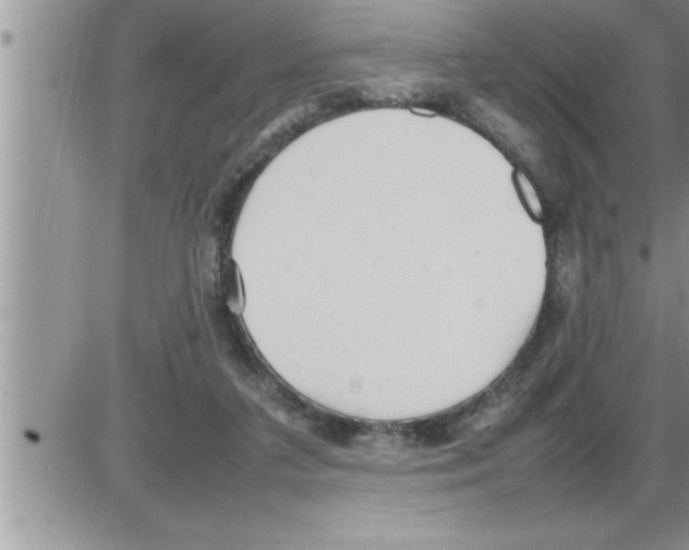 X0000086330211200704271950