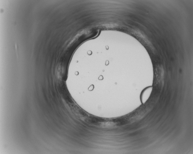 X0000086330212200704271950