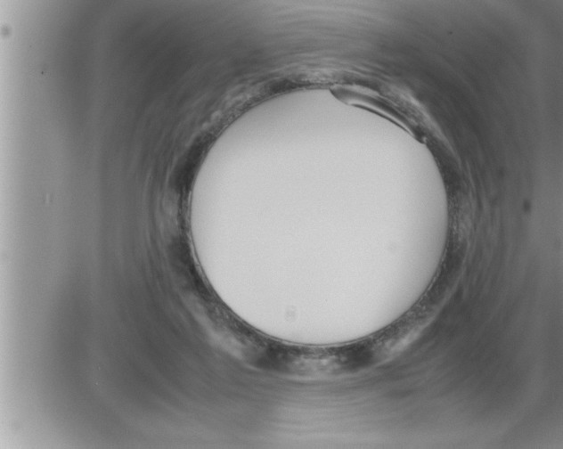 X0000086330213200704271950