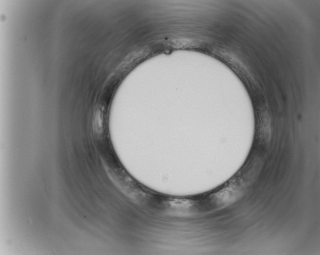 X0000086330214200704271950