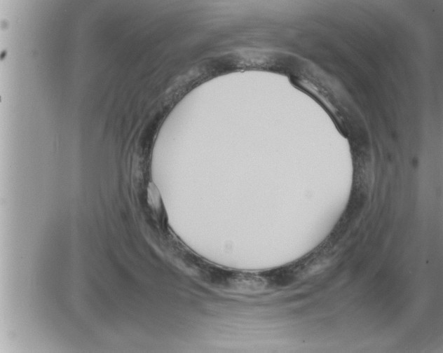 X0000086330215200704271950