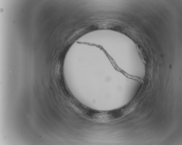 X0000086330219200704271950