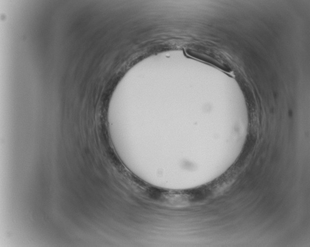 X0000086330221200704271950