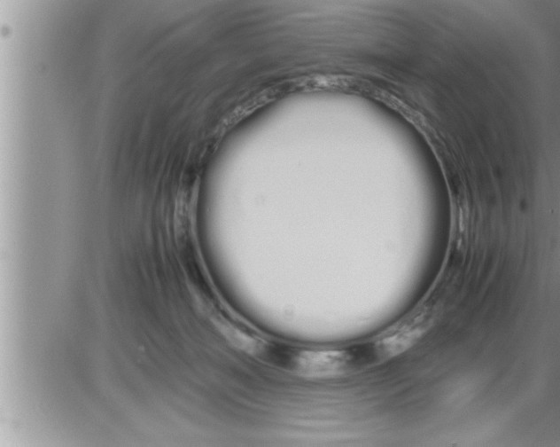 X0000086330222200704271950